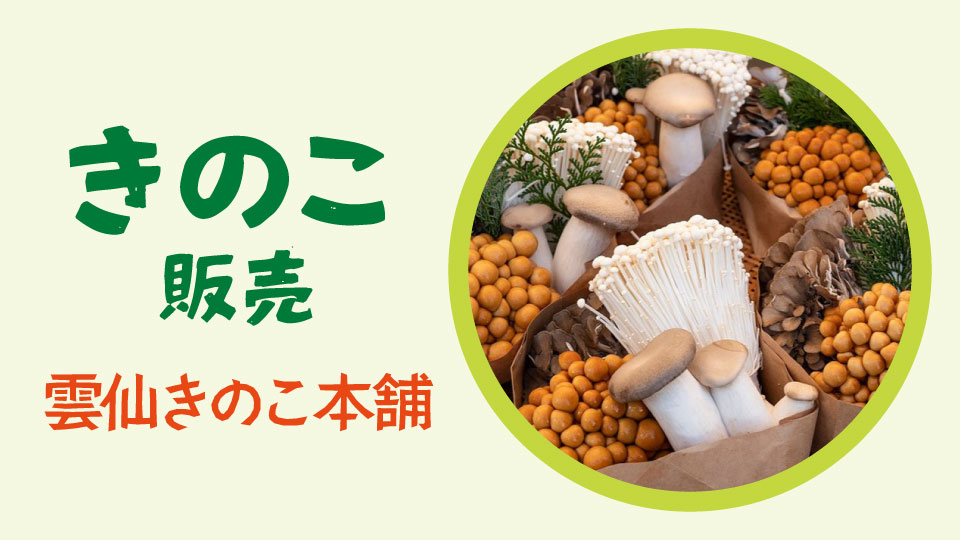 きのこ販売 雲仙きのこ本舗